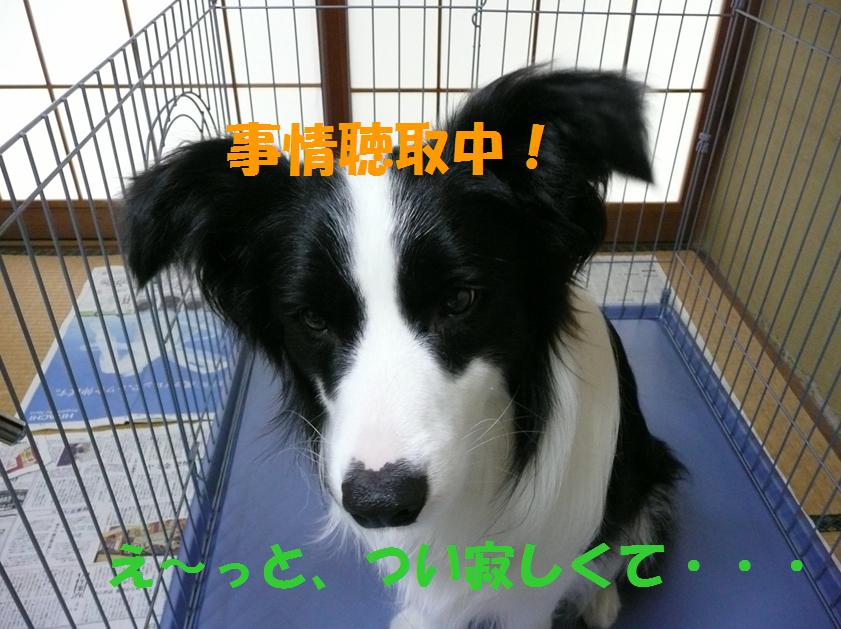 c0147241_21343666.jpg