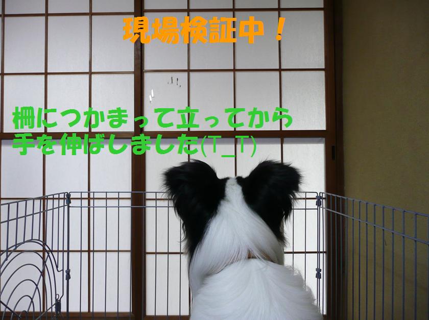 c0147241_21365431.jpg