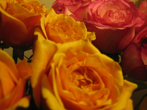 e0018143_5291411.jpg