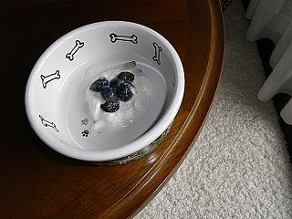 f0075043_221144.jpg
