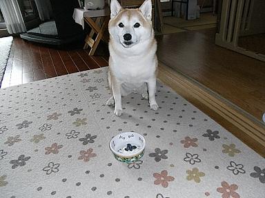 f0075043_22123310.jpg