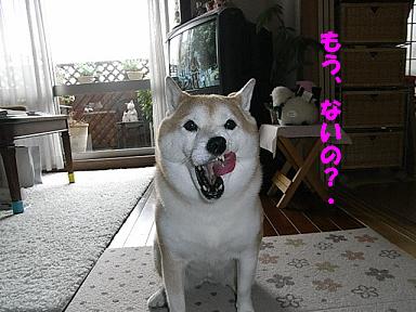 f0075043_2213222.jpg