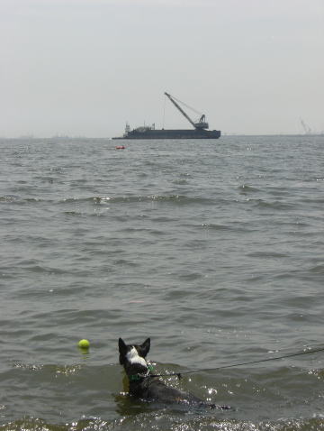 f0094843_0471380.jpg