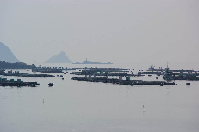 e0111346_1122696.jpg