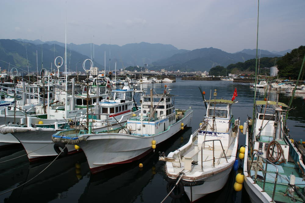 e0111346_952427.jpg