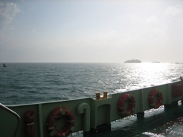 a0091348_35158.jpg