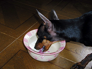 c0123149_15265738.jpg