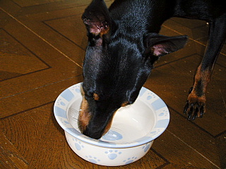 c0123149_15274122.jpg