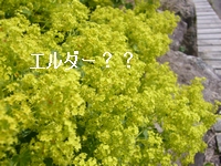 a0048852_1359217.jpg