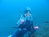 d0076952_18541223.jpg