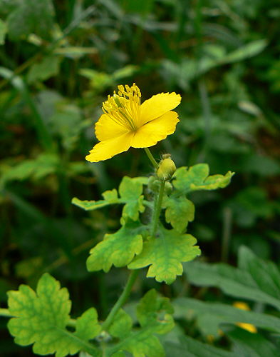 d0091754_1494166.jpg