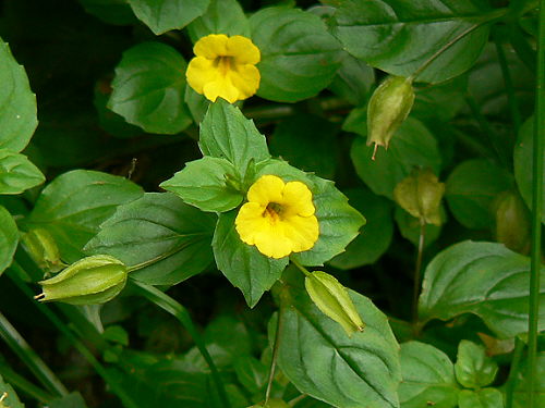 d0091754_2412517.jpg