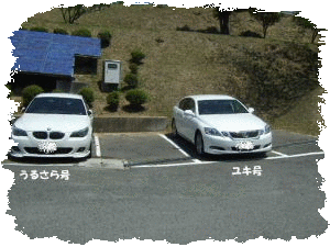 e0088654_1133476.gif