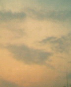 c0052756_13694.jpg