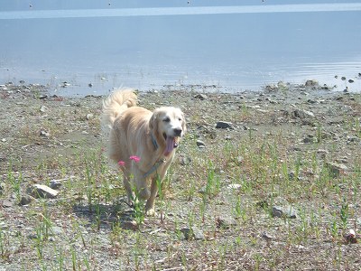 c0097558_20285979.jpg