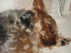 e0142065_21222013.jpg