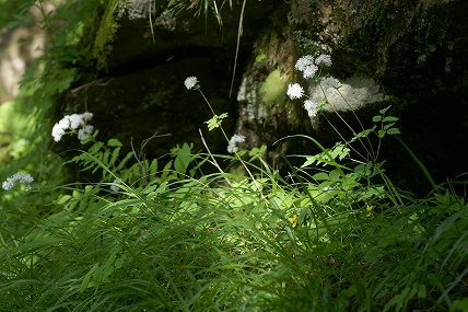 e0054067_22413996.jpg