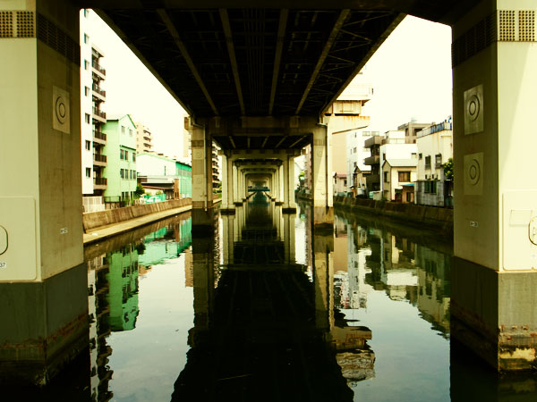 d0089281_046520.jpg