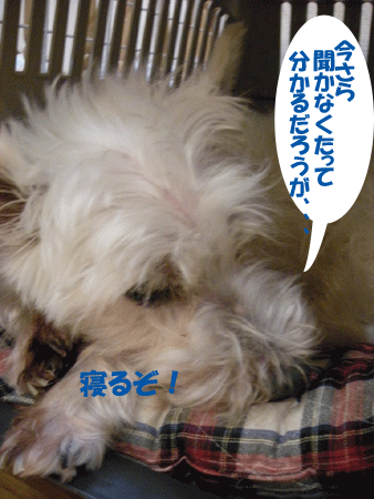 e0066883_13125.gif
