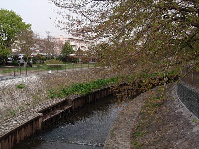c0105785_10155678.jpg