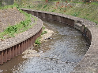c0105785_1052765.jpg