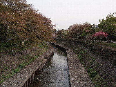 c0105785_1092062.jpg