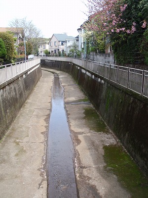 c0105785_840233.jpg