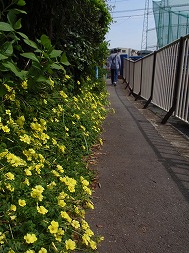 c0105785_9181547.jpg