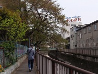 c0105785_927853.jpg