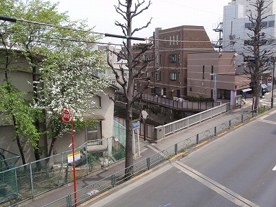 c0105785_9372424.jpg