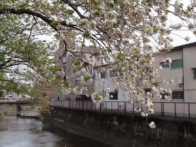 c0105785_940552.jpg