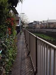 c0105785_9464179.jpg