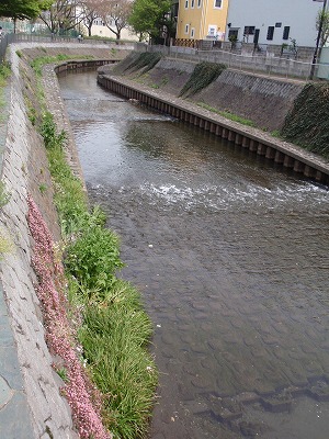 c0105785_9502025.jpg