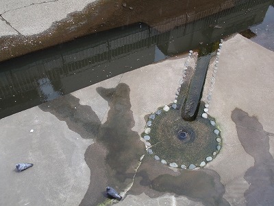c0105785_97157.jpg