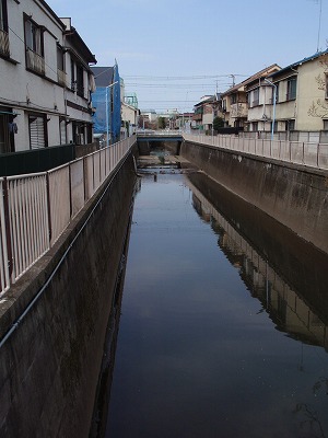 c0105785_9979.jpg