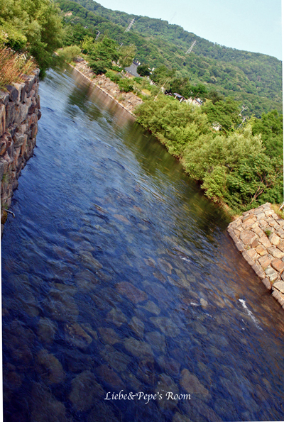 f0001895_20223360.jpg