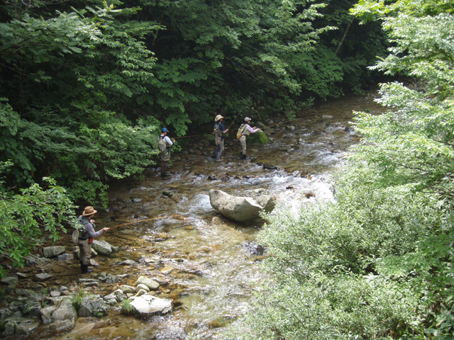 d0042500_97273.jpg