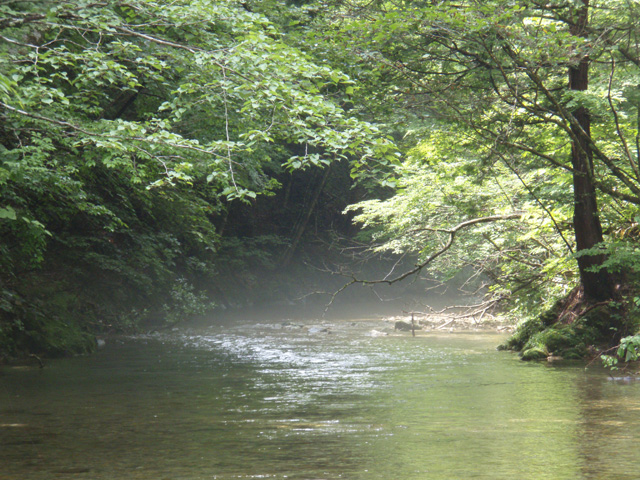 d0042500_97516.jpg
