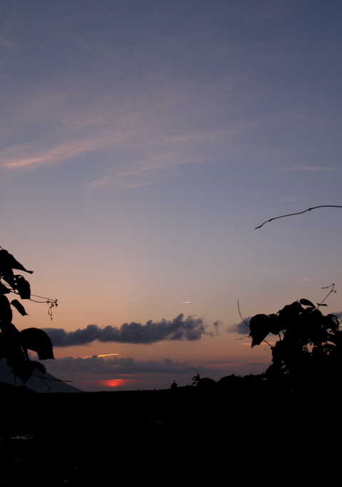 e0089001_2123619.jpg
