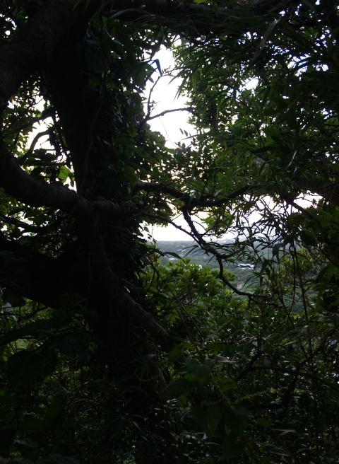 e0089001_21314440.jpg