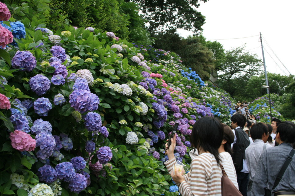 d0070702_0274386.jpg