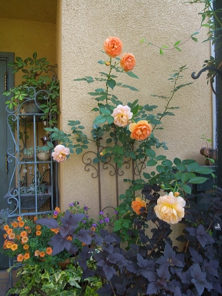 f0065604_21455397.jpg