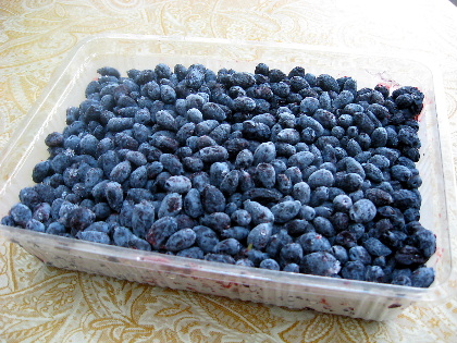 f0041606_2003512.jpg