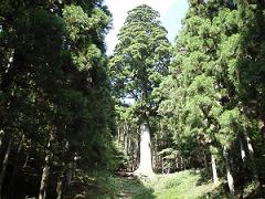 f0077807_21245522.jpg