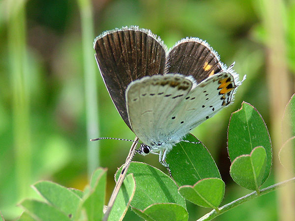 b0033112_20274589.jpg