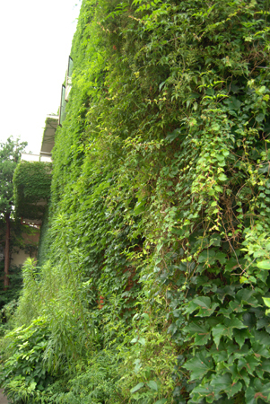 d0113613_1326862.jpg