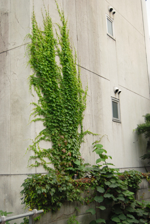 d0113613_13281088.jpg