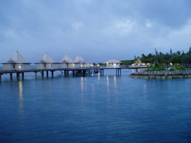 a0000014_202461.jpg