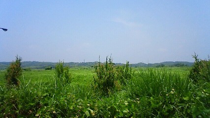 f0167314_16224770.jpg