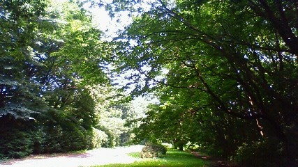 f0167314_16235662.jpg